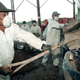 Cambodian soldiers handle toxic waste from Formosa Plastics near Sihanoukville in March 1999.